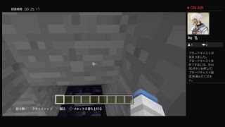 誰か見る？（マインクラフト）