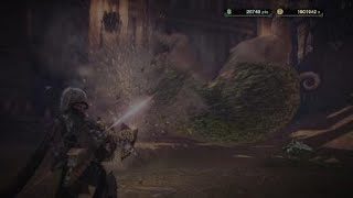 モンスターハンター：ワールド_20190101163226