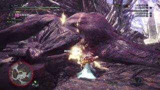 モンスターハンター：ワールド_20190118082853
