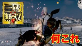 【真・三國無双8】最大のバグ！？サジじいさんと愉快な世界へようこそ！