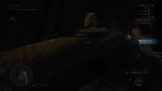 モンスターハンター：ワールド