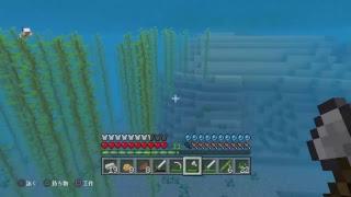 【マインクラフト】平和の巻★