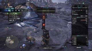 モンスターハンター：ワールド_20190125　会心の一撃！