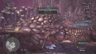 モンスターハンター：ワールド_20190118182755