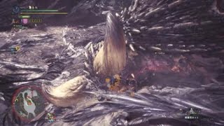 モンスターハンター：ワールド_20190115214806