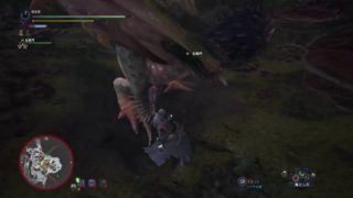 [ モンスターハンター：ワールド ] プケプケ・トビカガチ・リオレウス亜種