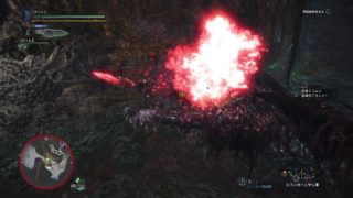 モンスターハンター：ワールド_20180314205535