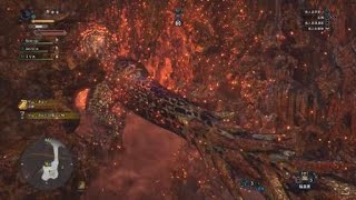 モンスターハンター：ワールド_20190129220249