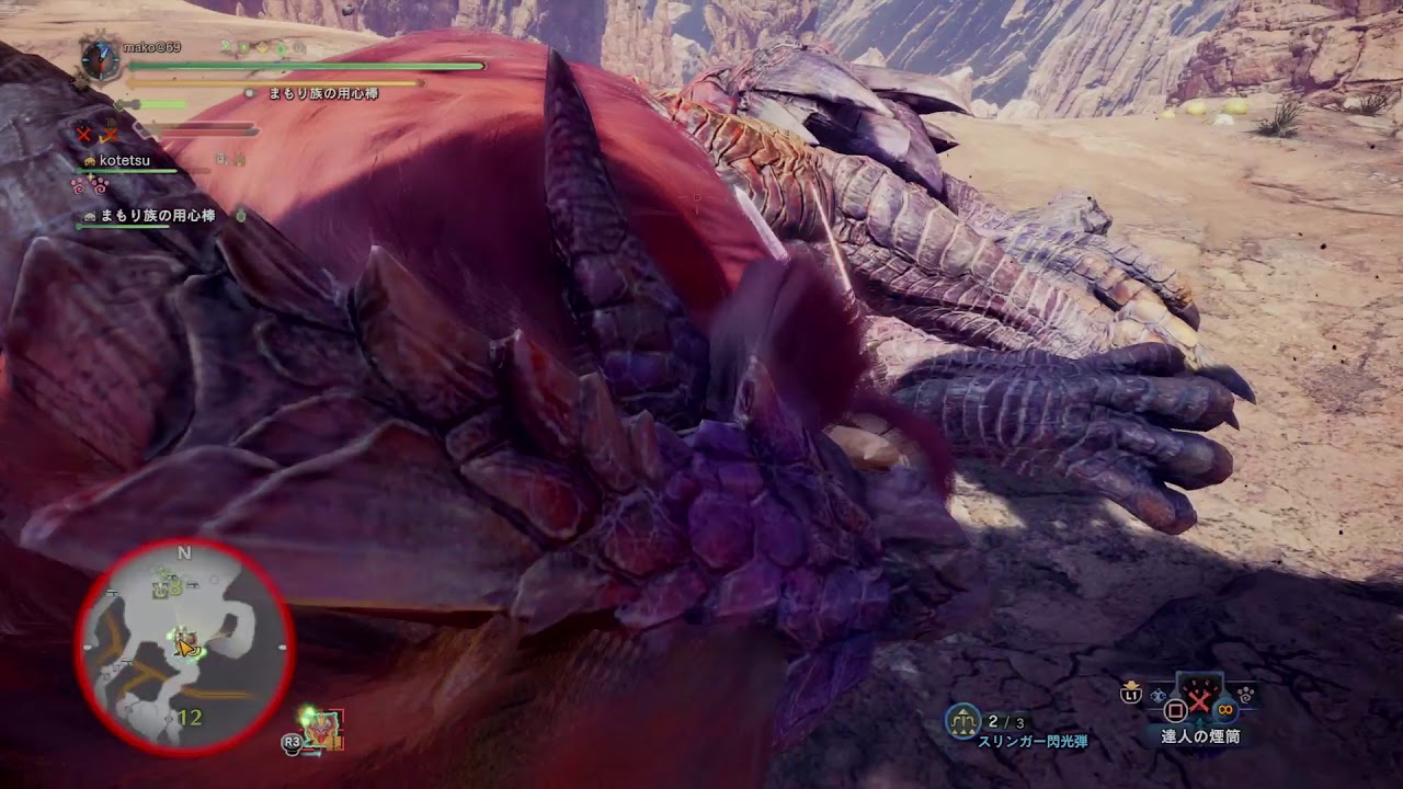 モンスターハンター：ワールド_20190115210102