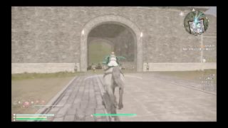 【no mic】真・三國無双8（Dynasty Warriors 9）#231　中国語版ストーリー：蜀 十三章 END　成都の攻防に夏侯覇参戦