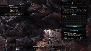 モンスターハンター：ワールド_縄張り争い決定戦