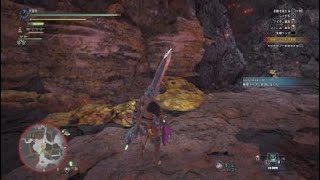 モンスターハンター：ワールド_20190112142034