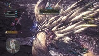 モンスターハンター：ワールド_20190119173012