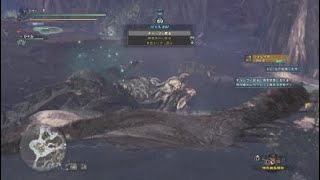 モンスターハンター：ワールド_20190110232044