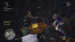 モンスターハンター：ワールド_20190126000345