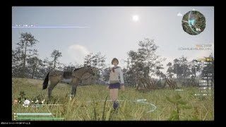 真・三國無双８ 無双女子特製コスチュームシリーズ 其の四 孫尚香(女子高生風)