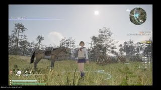 真・三國無双８ 無双女子特製コスチュームシリーズ 其の四 孫尚香(女子高生風)