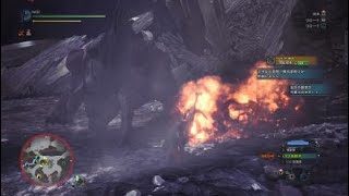 モンスターハンター：ワールド_20190114075427