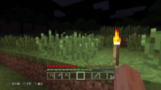 ロワさんのユルくマインクラフト実況(ﾃﾞﾓ版）＃5