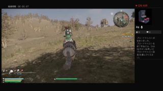 「真・三國無双８ 迷子ではない、はず」