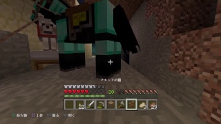 今さらマインクラフトやってるのヒカ○ンぐらい。＃1