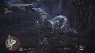 [ モンスターハンター：ワールド ] トビカガチ・プケプケ