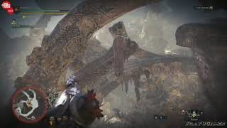 Monster Hunter World  --  New Monsters Gameplay ¦ PGW --『モンスターハンター：ワールド』