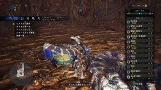 モンスターハンター：ワールド_20190101095231