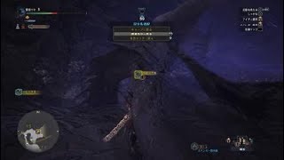 モンスターハンター：ワールド　ベヒーモスの練習(最初の30秒取れなかった)