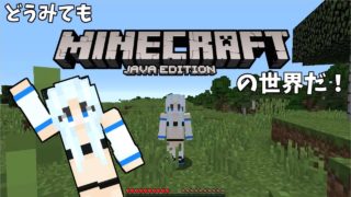 【バビクラ】Part1 - マイクラはじめたらいきなりアレ見つけちゃいました！【マインクラフト】
