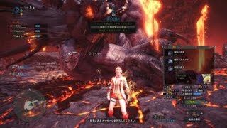 モンスターハンター：ワールド_20190227165415