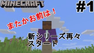 #1【マインクラフト】ヒボクラ