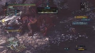 モンスターハンター：ワールド_20190213004855