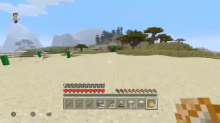 ＊みなのライブ配信＊｛PS4　マインクラフト｝♪(^_-)