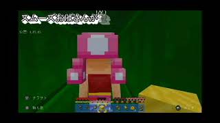 【Minecraft】＃3　女子二人でマインクラフト【S255S】