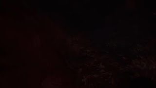 モンスターハンター：ワールド　ベヒーモス討伐（睡眠落石）