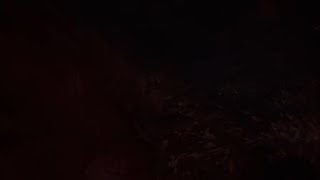 モンスターハンター：ワールド　ベヒーモス討伐（睡眠落石）