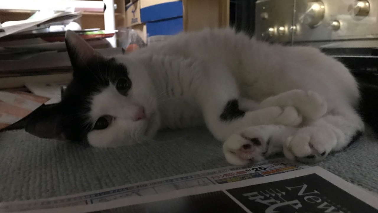 ここで生きる【マインクラフト】♯21