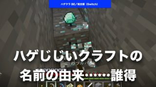 【 #マインクラフト #コメント返信 】誰得。ハゲじじいクラフトの名前の由来 #マイクラ #統合版 #BE版 #Switch #ニンテンドースイッチ #マルチプレイ #REALMS #レルムズ
