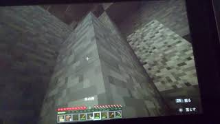 しんTVマインクラフトpart2