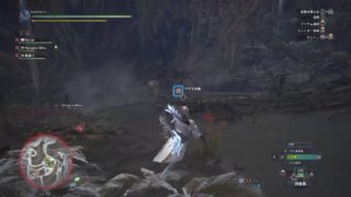 ［PS4］[モンスターハンターワールド]レーシェンでたわむれる