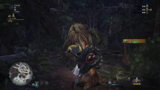 モンスターハンター：ワールド_ウィッチャーコラボ　環境生物