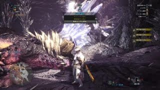 モンスターハンター：ワールド　暇狩りネルギガンテ