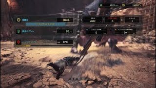 モンスターハンター：ワールド　アンジャナフ20190220121601