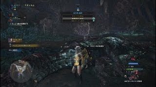 モンスターハンター：ワールド_最強散弾ヘビィで歴戦ヴァル脳死プレイ