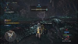 モンスターハンター：ワールド_最強散弾ヘビィで歴戦ヴァル脳死プレイ