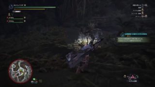 モンスターハンターワールド #232 イベント 森の精霊