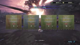 ［PS4］[モンスターハンターワールド]でたわむれる