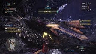 モンスターハンター：ワールド_20190212222817
