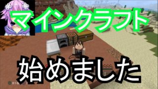 【マイクラ】今更ですが、マインクラフト始めました(*´▽｀*)